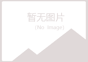 东至县夏岚机械有限公司